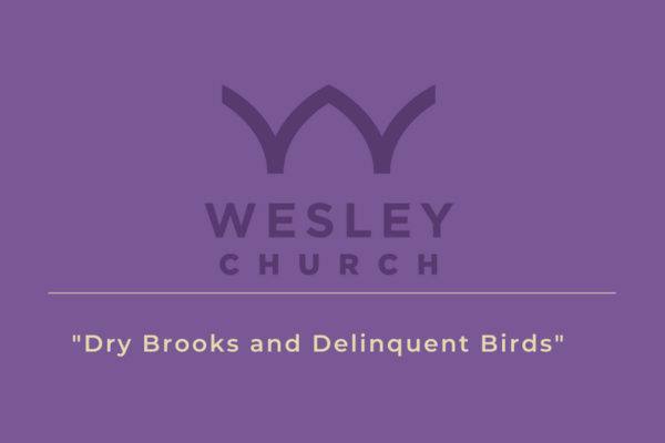 “Dry Brooks and Delinquent Birds”
