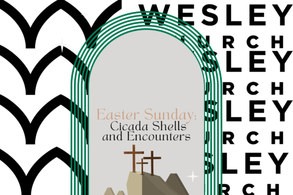 Easter Sunday: Cicada Shells and Encounters